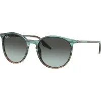 Ray-Ban Sunglasses RB2204 1394GK