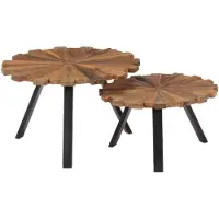 vidaXL Tables basses 2 pcs. Vieux bois massif