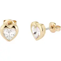 Ted Baker Boucles d'oreilles or