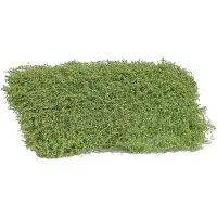 Busch Tapis d'arbustes printemps. Dimensions, 120 x 80 mm, hauteur, 35 mm