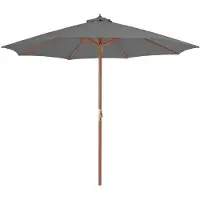 vidaXL Parasol avec mât en bois 300 cm Anthracite