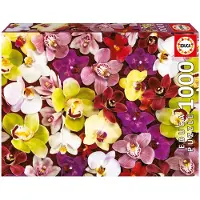 Educa puzzle de 1000 pièces - COLLAGE D'ORCHIDES - - Nature morte et objets - Mixte - Espagne