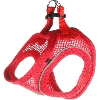 Flamingo vaisselle Step & Go Bento rouge, taille : XXS