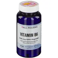 Hecht Pharma GmbH Geschäftsbereich Handelsware Vitamine B6 100 mg Gph gélules 120 pcs