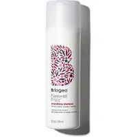 Briogeo Farewell Frizz shampooing lissant 236 ml