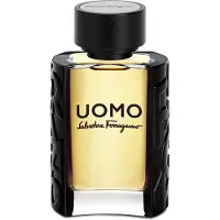 Salvatore Ferragamo Uomo Eau de Toilette Pour Homme 50 ml