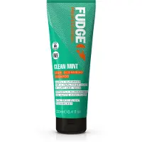 Fudge Truquer Clean Shampoing Menthe Pour Cheveux Gras 250 Ml