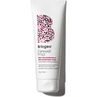 Briogeo Farewell Frizz Blow Dry Perfection & Heat Protectant Cream 118ml