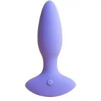 Smile Maker The Neighbor Plug anal à vibrations 11,2 cm
