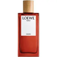 LOEWE Seul Cèdre Edt Spray 100 ml