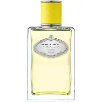 Prada Infusion D'Ylang EDP 100 ml UNISEX
