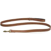 Beeztees BZ BALACRON LAISSE AX BRN 100X1 (Chien, Général)
