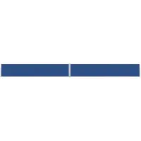 The Living Store Store latéral extensible 170x1200 cm bleu