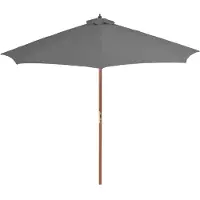 The Living Store Parasol avec mât en bois 300 cm Anthracite