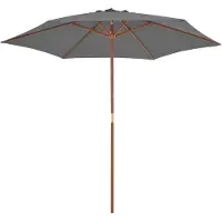 The Living Store Parasol avec mât en bois 270 cm Anthracite
