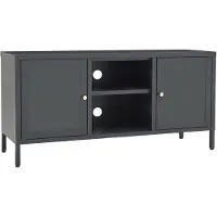 The Living Store Armoire TV anthracite 105x35x52 cm Acier et verre
