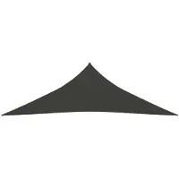 The Living Store Auvent 160 g/m² Anthracite 4x4x4 m HDPE