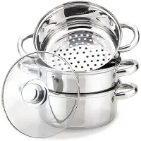 Maestro Steamer MR-2900-18
