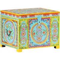 vidaXL Boîte de rangement peinte à la main 50x40x40 cm manguier massif