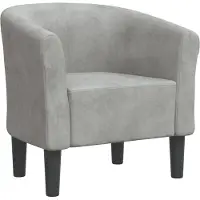 vidaXL Chaise cabriolet gris clair velours