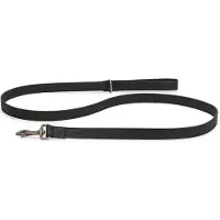 Beeztees BZ BALACRON LAISSE AX BRN 100X1 (Chien, Promenade)