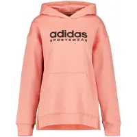Adidas All Szn Fleece Graphic Hoodie Rose S Femme