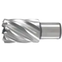 Hikoki 754451 Couronne à métaux - 60 x 30 mm