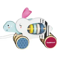 TOPBRIGHT Hase und die Schildkröte