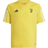 Adidas T-Shirt fonctionnel 'Juventus Turin Tiro 23'