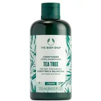 The Body Shop Après-shampoing