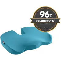 Leitz Active Ergo Cosy Office Chair Cushion Bleu