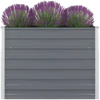 vidaXL Lit surélevé 100 x 100 x 77 cm Acier galvanisé Gris