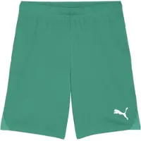 Puma Hommes, Bas de sport, teamGOAL Short (3XL), Vert