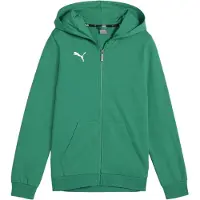 Puma Garçons, Pull-over, teamGOAL Casuals Veste à capuche Jr, Vert, (164)