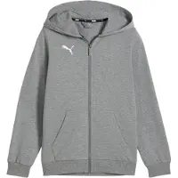 Puma Garçons, Vestes de survêtement, teamGOAL Casuals Veste à capuche Jr (128), Gris