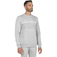 Tecnifibre Team Sweatshirt Gris S Homme