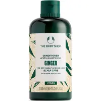 The Body Shop Ginger Conditioner — Balsamo per pelli secche 250ml