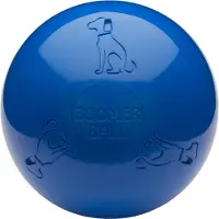 Boomer ball (Jouet de balle pour chiens)