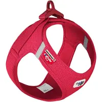 Curli Clasp Vest Imbracatura Air-Mesh Special E. 2022 Rosso XS