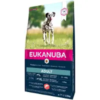 Eukanuba Adult Large Breeds Salmon Barlej 12 kg sucha karma dla psów dużych ras bogata w łososia i jęczmień