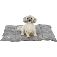 Trixie Couverture de voyage "Leni" grise 80x60 cm