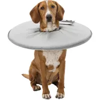 Trixie Collier de protection pour animaux de compagnie L 24 cm
