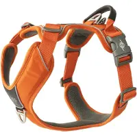 Dog Copenhagen V3 Comfort Walk Pro Harness Orange Sun M