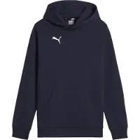 Puma Garçons, Pull-over, teamGOAL Casuals Hoody Jr, Bleu, (164)