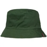Redgreen Chapeau Viola