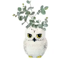 Half Moon Bay Harry Potter - Hedwige - Pot De Fleur Mural