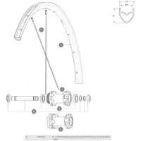 Mavic Ksyrium Disc Left Spokes 12 Units Noir 295 mm
