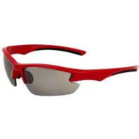 Eltin Goos Sunglasses Rouge Black/CAT3