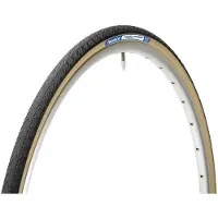 Panaracer Pasela ProTite Folding Tire - 622 - black / amber