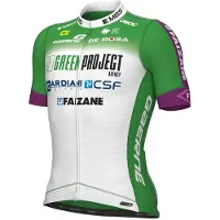 ALÉ Green Project-bardiani Csf-faizane Pro 2023 Short Sleeve Jersey Vert M Homme